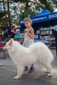 Samoyed days-sobotní výstava