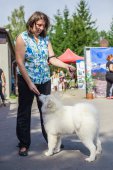 Samoyed days-sobotní výstava
