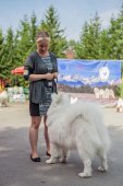 Samoyed days-sobotní výstava