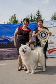 Samoyed days-sobotní výstava