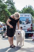 Samoyed days-sobotní výstava