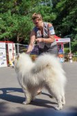 Samoyed days-sobotní výstava