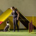 intenzivka agility s Monikou Koutnou