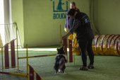 intenzivka agility s Monikou Koutnou