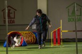 intenzivka agility s Monikou Koutnou