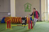 intenzivka agility s Monikou Koutnou