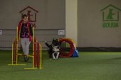 intenzivka agility s Monikou Koutnou