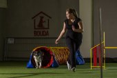 intenzivka agility s Monikou Koutnou