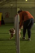intenzivka agility s Monikou Koutnou