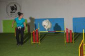 intenzivka agility s Monikou Koutnou