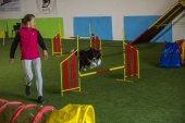 intenzivka agility s Monikou Koutnou