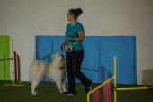 intenzivka agility s Monikou Koutnou