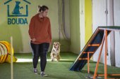 intenzivka agility s Monikou Koutnou