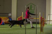 intenzivka agility s Monikou Koutnou