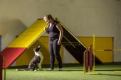 intenzivka agility s Monikou Koutnou