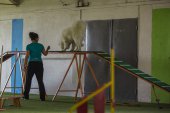 intenzivka agility s Monikou Koutnou