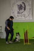 intenzivka agility s Monikou Koutnou