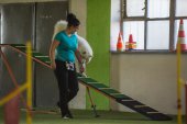 intenzivka agility s Monikou Koutnou