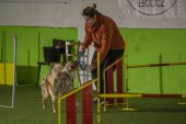 intenzivka agility s Monikou Koutnou