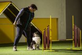 intenzivka agility s Monikou Koutnou