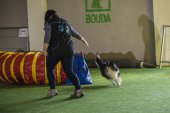 intenzivka agility s Monikou Koutnou
