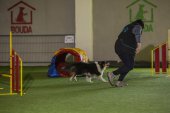 intenzivka agility s Monikou Koutnou