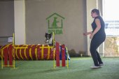 intenzivka agility s Monikou Koutnou