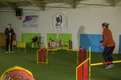 intenzivka agility s Monikou Koutnou