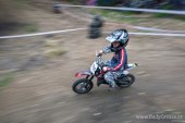 Jawa cup