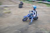 Jawa cup
