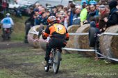 Jawa cup