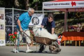 Samojedí miniolympiáda