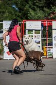Samojedí miniolympiáda