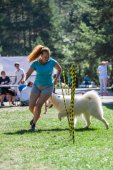 Samojedí miniolympiáda