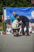 Samojedí miniolympiáda