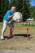 Samojedí miniolympiáda