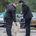 9. Klubová výstava Samojed klubu Slovensko