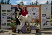 9. Klubová výstava Samojed klubu Slovensko