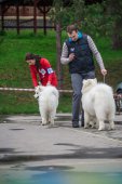 9. Klubová výstava Samojed klubu Slovensko