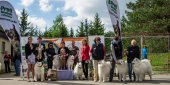 9. Klubová výstava Samojed klubu Slovensko