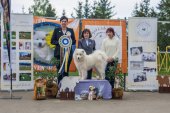 9. Klubová výstava Samojed klubu Slovensko