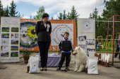 9. Klubová výstava Samojed klubu Slovensko