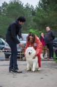 9. Klubová výstava Samojed klubu Slovensko