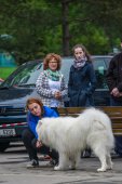 9. Klubová výstava Samojed klubu Slovensko