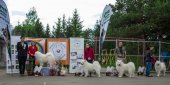 9. Klubová výstava Samojed klubu Slovensko