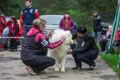 9. Klubová výstava Samojed klubu Slovensko