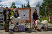 9. Klubová výstava Samojed klubu Slovensko