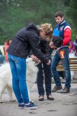 9. Klubová výstava Samojed klubu Slovensko