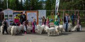 9. Klubová výstava Samojed klubu Slovensko