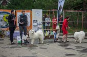 9. Klubová výstava Samojed klubu Slovensko